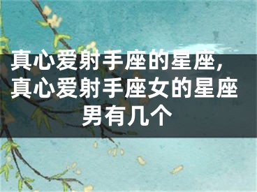 真心爱射手座的星座,真心爱射手座女的星座男有几个