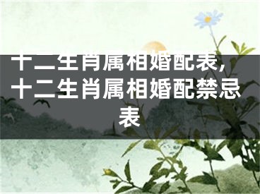十二生肖属相婚配表,十二生肖属相婚配禁忌表