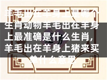 羊毛出在羊身上是哪个生肖动物羊毛出在羊身上最准确是什么生肖,羊毛出在羊身上猪来买单什么意思