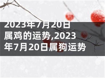 2023年7月20日属鸡的运势,2023年7月20日属狗运势