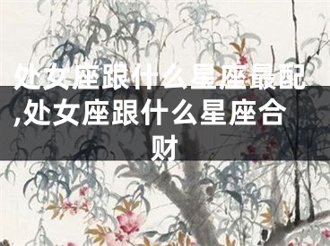 处女座跟什么星座最配,处女座跟什么星座合财