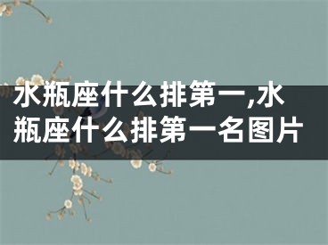水瓶座什么排第一,水瓶座什么排第一名图片