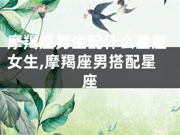摩羯座男生配什么星座女生,摩羯座男搭配星座