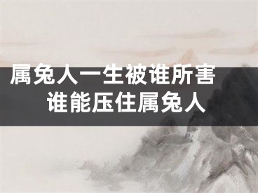 属兔人一生被谁所害 谁能压住属兔人