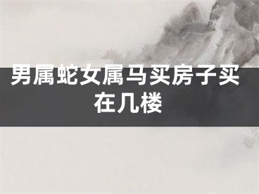 男属蛇女属马买房子买在几楼