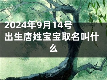 2024年9月14号出生唐姓宝宝取名叫什么