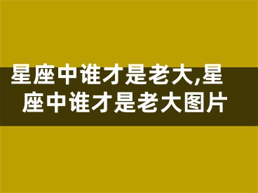 星座中谁才是老大,星座中谁才是老大图片