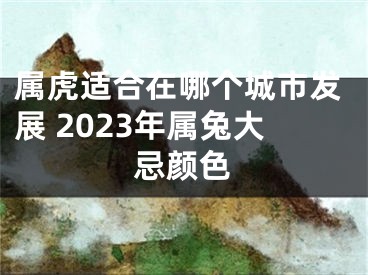 属虎适合在哪个城市发展 2023年属兔大忌颜色
