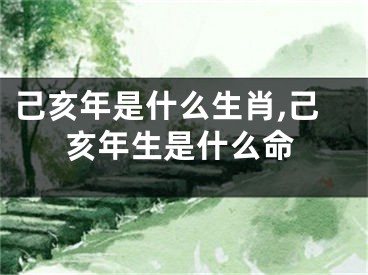 己亥年是什么生肖,己亥年生是什么命