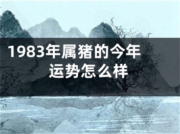 1983年属猪的今年运势怎么样