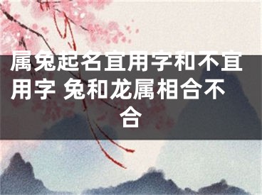 属兔起名宜用字和不宜用字 兔和龙属相合不合