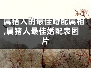 属猪人的最佳婚配属相,属猪人最佳婚配表图片