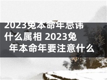 2023兔本命年忌讳什么属相 2023兔年本命年要注意什么