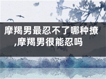 摩羯男最忍不了哪种撩,摩羯男很能忍吗