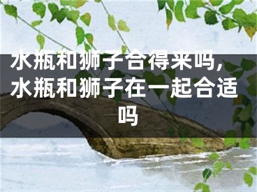 水瓶和狮子合得来吗,水瓶和狮子在一起合适吗