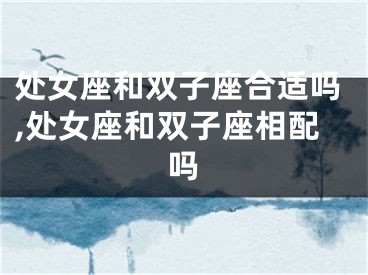 处女座和双子座合适吗,处女座和双子座相配吗