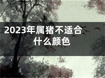 2023年属猪不适合什么颜色