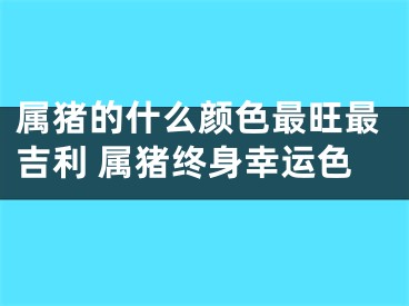 属猪的什么颜色最旺最吉利 属猪终身幸运色