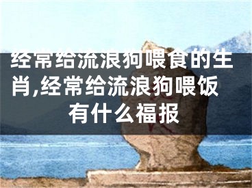 经常给流浪狗喂食的生肖,经常给流浪狗喂饭有什么福报