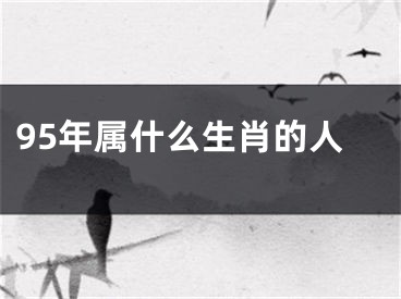 95年属什么生肖的人