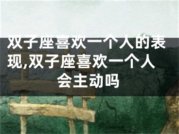 双子座喜欢一个人的表现,双子座喜欢一个人会主动吗