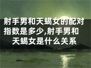 射手男和天蝎女的配对指数是多少,射手男和天蝎女是什么关系