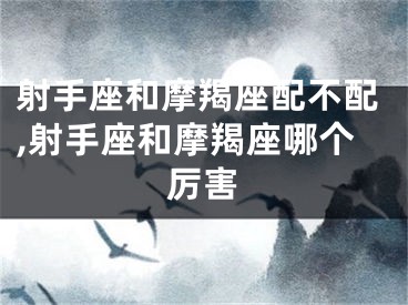 射手座和摩羯座配不配,射手座和摩羯座哪个厉害