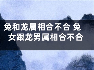 兔和龙属相合不合 兔女跟龙男属相合不合
