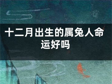 十二月出生的属兔人命运好吗