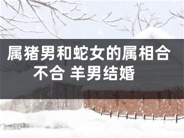 属猪男和蛇女的属相合不合 羊男结婚