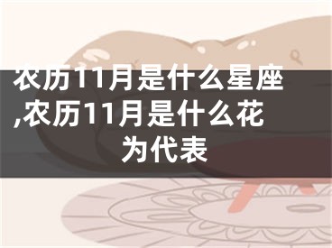 农历11月是什么星座,农历11月是什么花为代表