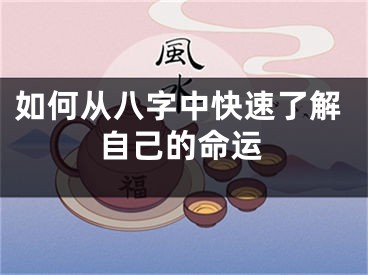 如何从八字中快速了解自己的命运