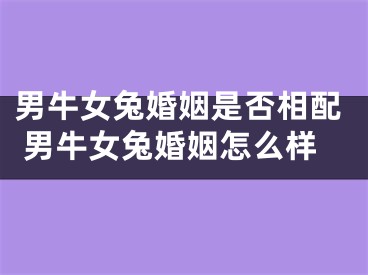 男牛女兔婚姻是否相配 男牛女兔婚姻怎么样