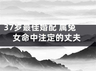 37岁最佳婚配 属兔女命中注定的丈夫