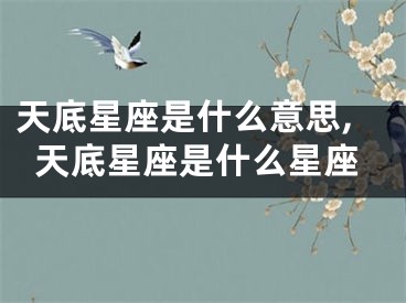 天底星座是什么意思,天底星座是什么星座