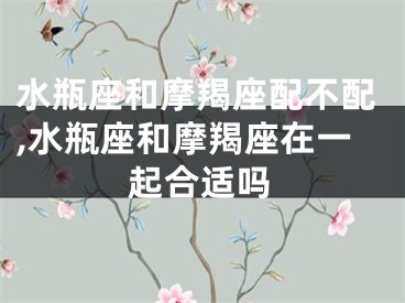 水瓶座和摩羯座配不配,水瓶座和摩羯座在一起合适吗