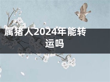 属猪人2024年能转运吗