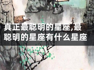 真正最聪明的星座,最聪明的星座有什么星座