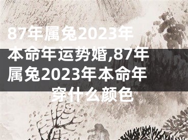 87年属兔2023年本命年运势婚,87年属兔2023年本命年穿什么颜色