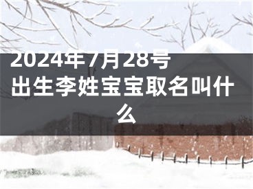 2024年7月28号出生李姓宝宝取名叫什么