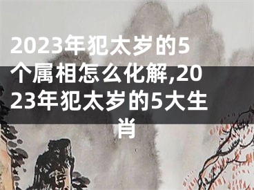 2023年犯太岁的5个属相怎么化解,2023年犯太岁的5大生肖