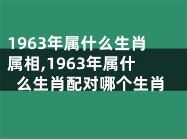 1963年属什么生肖属相,1963年属什么生肖配对哪个生肖