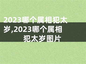2023哪个属相犯太岁,2023哪个属相犯太岁图片