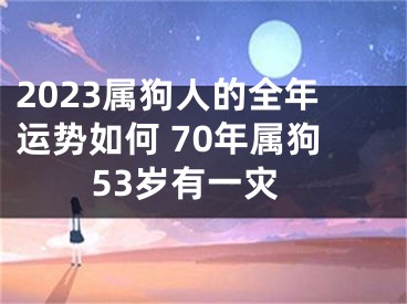 2023属狗人的全年运势如何 70年属狗53岁有一灾