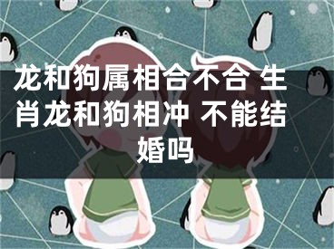 龙和狗属相合不合 生肖龙和狗相冲 不能结婚吗