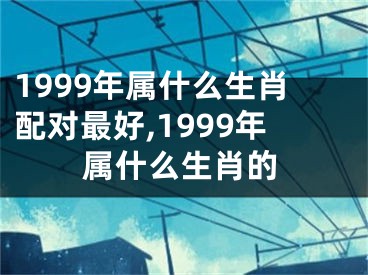 1999年属什么生肖配对最好,1999年属什么生肖的