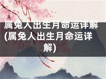 属兔人出生月命运详解(属兔人出生月命运详解)