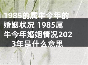 1985的属牛今年的婚姻状况 1985属牛今年婚姻情况2023年是什么意思 