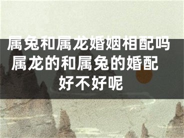属兔和属龙婚姻相配吗 属龙的和属兔的婚配好不好呢