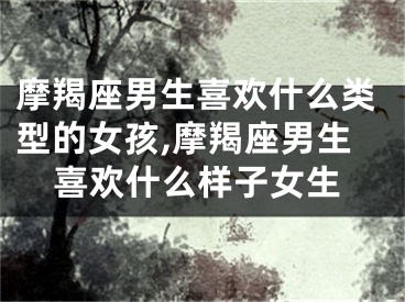 摩羯座男生喜欢什么类型的女孩,摩羯座男生喜欢什么样子女生